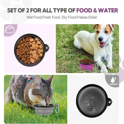 PetsGoodie 2-in-1 Foldable Dog Feeder - Portable Travel Water Bottle & Bowl