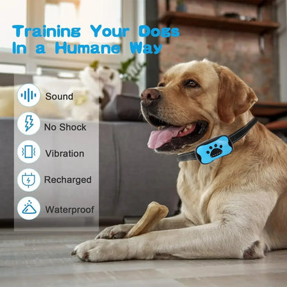 PetsGoodie Anti-Barking Training Collar - USB Rechargeable Ultrasonic & Vibration Bark Control