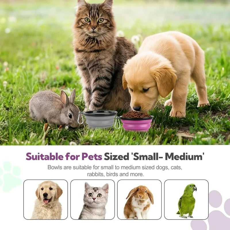 PetsGoodie 2-in-1 Foldable Dog Feeder - Portable Travel Water Bottle & Bowl