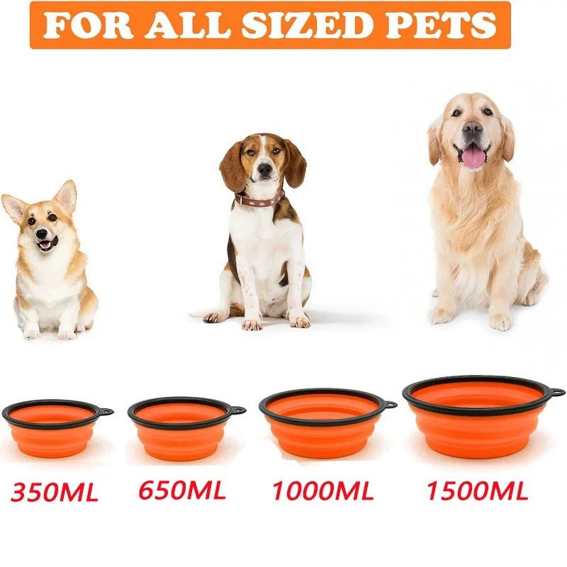 PetsGoodie 2-in-1 Foldable Dog Feeder - Portable Travel Water Bottle & Bowl